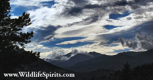 Click Picture to send as an  E-PostCard 53k 525x274